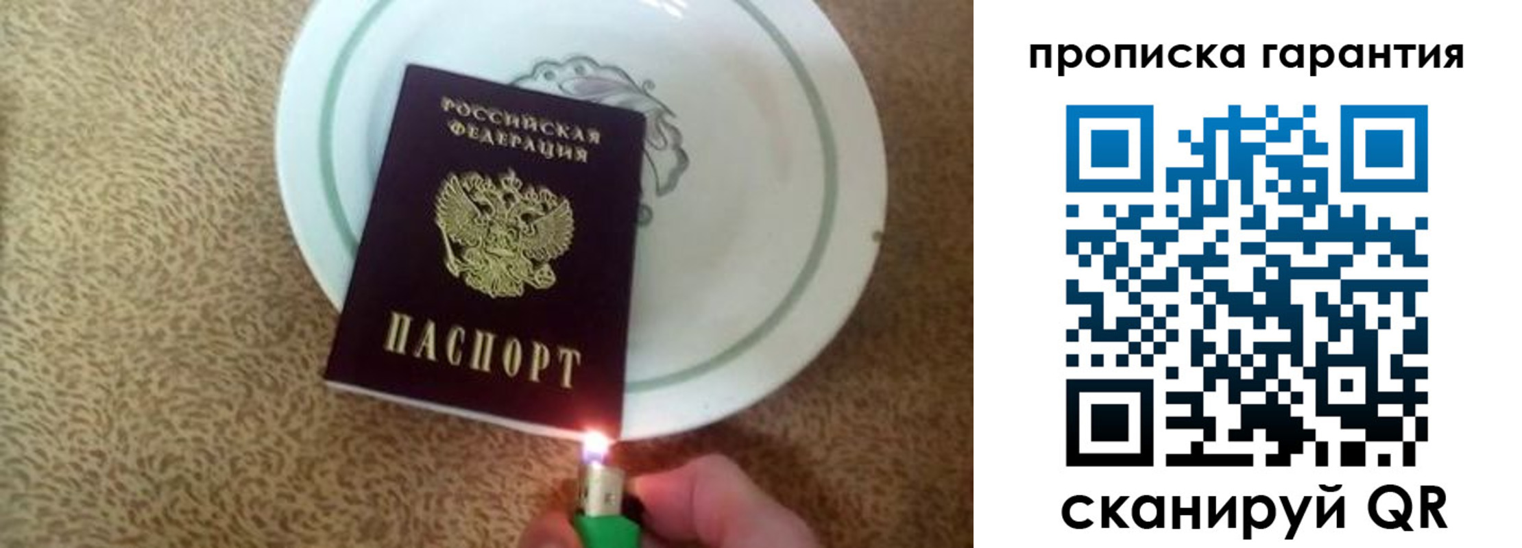 прописка гарантия в Покрове